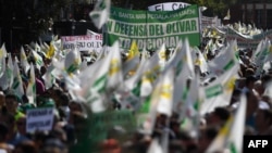 Oliveros protestan el jueves 10 de octubre en Madrid, España, para denunciar los bajos precios del producto y el arancel del 25% impuesto al aceite de oliva y aceitunas por EE.UU. AFP/Pierre-Philippe Marcou.