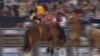 Texas Rodeo Seeks to Minimize Injuries in Dangerous Sport