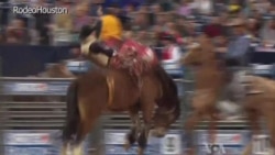 Houston Rodeo Seeks to Minimize Injuries in Dangerous Sport
