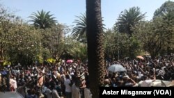 Amhara Region Demo (File)