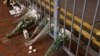 香港民众为悼念一位刺伤警察后自杀身亡的男子在街头放置鲜花。(2021年7月2日)