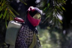 Seorang pekerja perempuan tengah menggendong alat penyemprot pestisida di punggungnya di perkebunan kelapa sawit di Sumatera, 8 September 2018. Beberapa pekerja menggunakan pasta kuning yang terbuat dari bubuk beras dan akar lokal sebagai tabir surya. (Foto: AP/Binsar Bakkara)