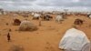 Kenyans Support Dadaab Camp Closure, Return of its Troops