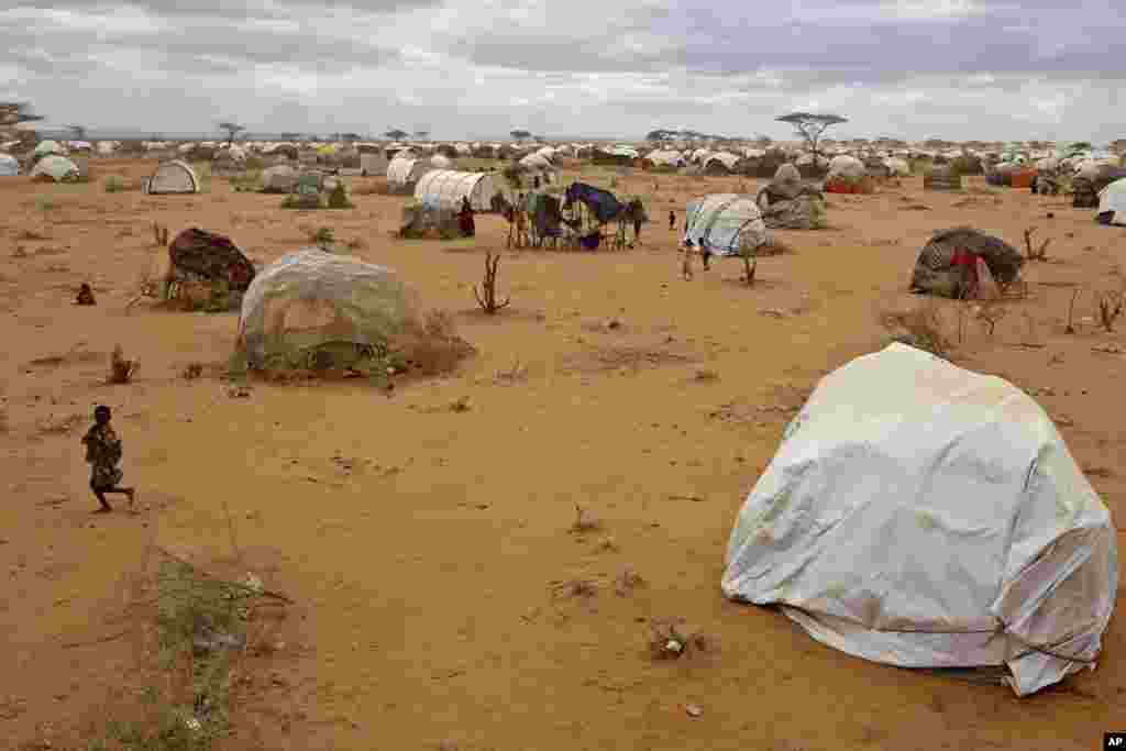 کینیا اور صومالیہ نے پناہ گزینوں سے متعلق اقوام متحدہ کے ادارے کے ساتھ رضاکارانہ طور پر وطن واپسی کی ایک پالیسی پر اتفاق کیا ہے۔