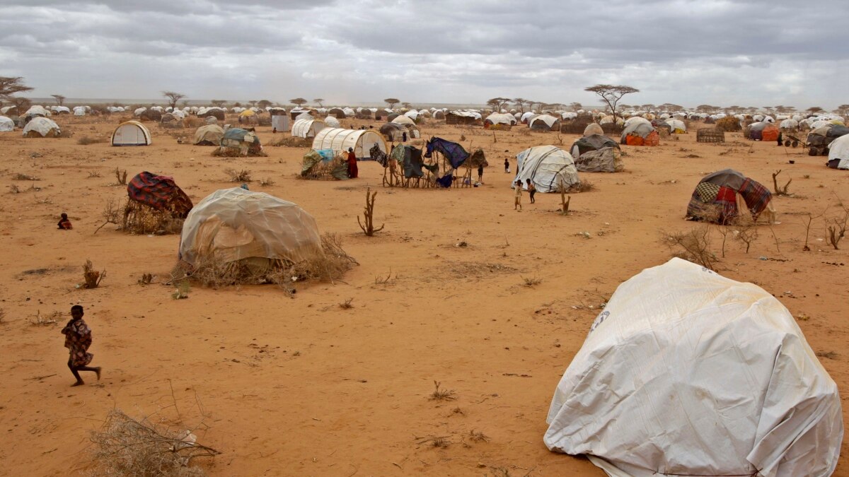 Kenyans Support Dadaab Camp Closure, Return of its Troops