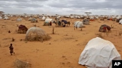 Trại tị nạn ở Dadaab, Kenya.