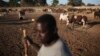 Aid Agencies: Northern Mali Herders Face Food Insecurity