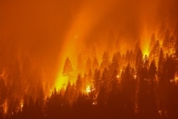 کیلی فورنیا کے جنگلات میں کئی مقامات پر آگ بھڑک رہی ہے۔ 3 اگست 2021