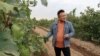 Chinese Winemakers Gain Recognition