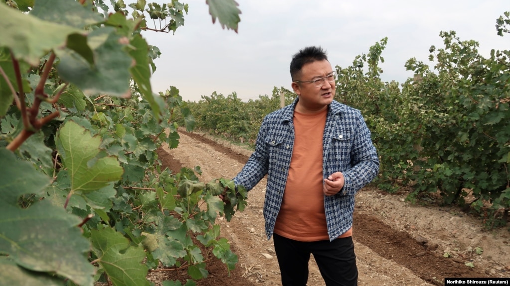 Legacy Peak owner Liu Hai speaks during an interview with Reuters at his vineyard near Yinchuan, Ningxia, China, October 12, 2021. (REUTERS/Norihiko Shirouzu)