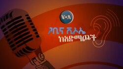 ሰላም ለማምጣት የወጣቱ ሚና ምንድነው?