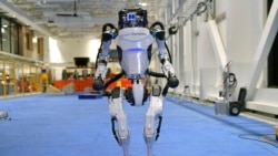 Quiz - The Team Behind the ‘Dancing Robots’ that Went Viral