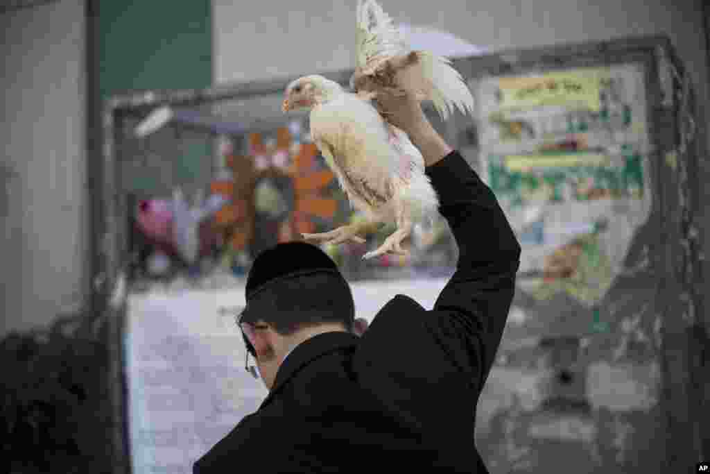 이스라엘 텔아비브 인근 브네이 브락 시에서 초정통파 유대인 남성이 머리 위로 닭을 들고 유대교 의식을 준비하고 있다.