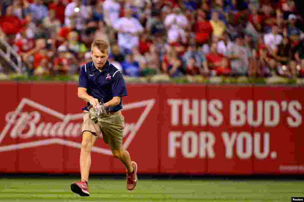 A member of the St. Louis Cardinals ground crew carries a cat that had run on the field during the sixth inning against the Kansas City Royals at Busch Stadium in St. Louis, Missouri, Aug. 9, 2017. (Credit: Jeff Curry/USA TODAY Sports)