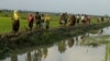 Les réfugiés rohingyas déplacés de l'État de Rakhine au Myanmar fuient les violences, près d'Ukhia, près de la frontière entre le Bangladesh et le Myanmar, le 4 septembre 2017. - Un total de 87 000 réfugiés, pour la plupart rohingyas, sont arrivés au Bangladesh