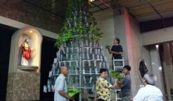 Sejumlah umat Paroki Kristus Raja yang tergabung dalam komunitas urban farming menyusun aneka jenis sayuran hidroponik sebagai pohon Natal. (Foto: Petrus Riski/VOA)