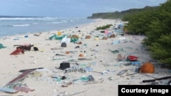 Para peneliti di University of Tasmania menyatakan Pulau Henderson yang terpencil dan tidak berpenghuni sebagai tempat dengan polusi plastik terburuk di dunia (U. of Tasmania)