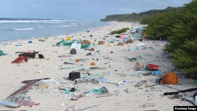 Researchers at the University of Tasmania say remote and uninhabited Henderson Island has the worst amount of plastic pollution in the world. (U. of Tasmania)