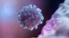Una imagen computarizada del coronavirus creada por Nexu Science Communication y Trinity College en Dublín.