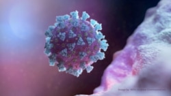 Quiz - Can New Variants of the Coronavirus Keep Appearing?