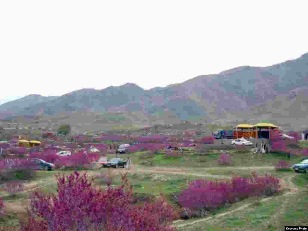Một nơi cắm trại tại tỉnh Parwan, Afghanistan (Ảnh của Aman Aman/Afghanistan/độc giả VOA)