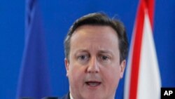 British Prime Minister David Cameron speaks during a media conference. (File Photo)