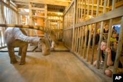 A visitor looks into a cage containing a model dinosaur inside a replica Noah's Ark at the Ark Encounter theme park during a media preview day in Williamstown, Kentucky, July 5, 2016.