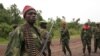 聯合國安理會計劃對剛果反叛集團實施制裁