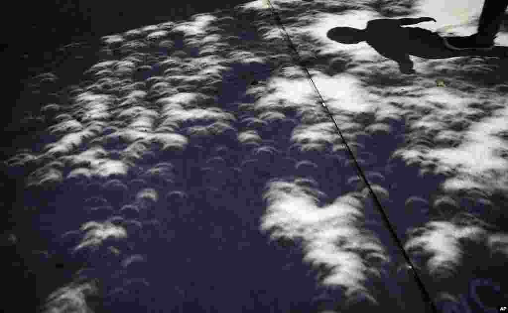 Shadows from a near total solar eclipse are projected on a sidewalk as a pedestrian passes in midtown Atlanta, Georgia.