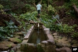 In this Dec. 22, 2017 photo, Jose Luis Gonzalez walks through a ravine known as "La Raja de Rosa," where people from Barrio Patron get their water, in Morovis, Puerto Rico.