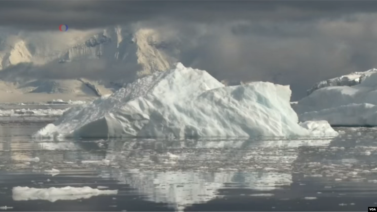 Greenpeace: Plastic, Chemical Pollution Widespread In Antarctica