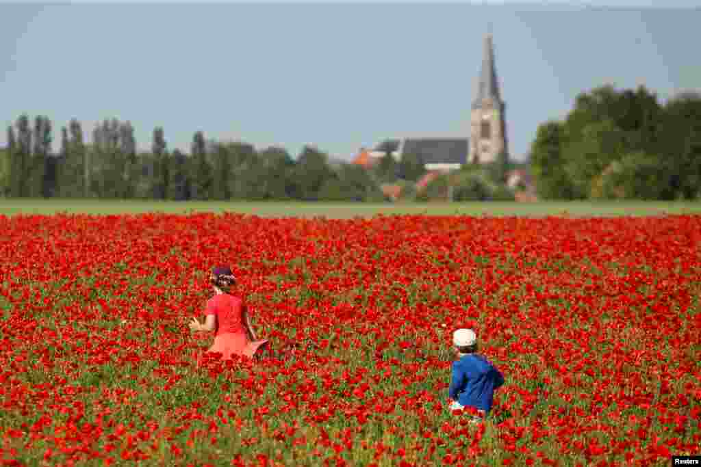 Children play in a poppy field in Aubigny-au-Bac, near Cambrai, France.