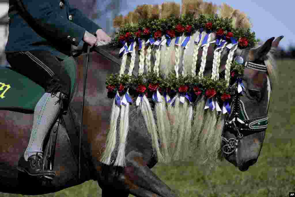 A festive decorated horse is on its way to get blessing for men and beasts at the St. George church in Traunstein, Germany, April 2, 2018.