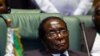 Mugabe-Appointed Ambassadors Face Diplomatic Problems