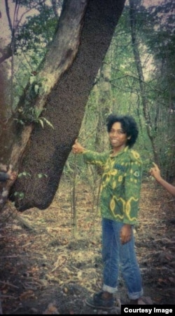 Sarang lebah dorsata di pohon sialang di hutan Jambi (foto: courtesy).