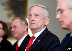 Defense Secretary Jim Mattis listens to a reporter's question during a meeting with Georgian Defense Minister Levan Izoria at the Pentagon, Nov. 13, 2017, in Washington.