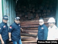 KLHK mengamankan 40 kontainer kayu merbau asal Sorong, Papua tanpa dilengkapi surat-surat resmi, di Tanjung Perak Surabaya (foto: Petrus Riski/VOA)