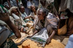 Seorang perempuan Etiopia berebut jatah bantuan pangan yang didistribusi oleh Bantuan Masyarakat Tigray, di Kota Agula, wilayah Tigray, Etiopia, 8 Mei 2021.