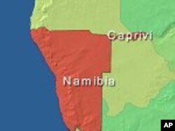 Namibia Opposition Figure Claims Irregularities in Recent Vote