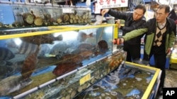 Seoul city officials check radiation levels of live fish during a photo call for the media at the Garak-dong agricultural and marine products market in Seoul, March 29, 2011