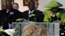 FILE - Skulls of Ovaherero and Nama people are displayed during a devotion attended by representatives of the tribes from Namibia in Berlin, Germany, Sept. 29, 2011.