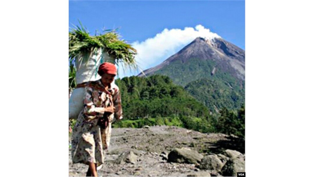 Seorang perempuan mengendong karung berisi rumput di lereng Gunung Merapi yang sedang mengeluarkan asap (foto dok. 20 Oktober 2010).