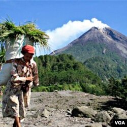 Seorang perempuan mengendong karung berisi rumput di lereng Gunung Merapi yang sedang mengeluarkan asap (foto dok. 20 Oktober 2010).