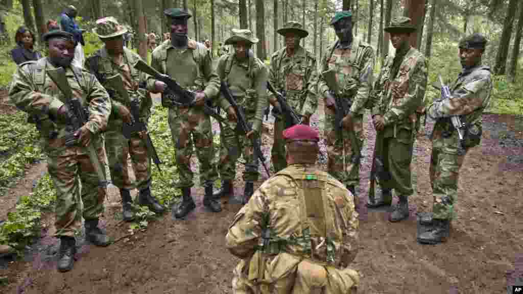 UNITED KINGDOM &nbsp; Rangers of the Kenya&#39;s wilflife and forest services receive field training in the Nanyuki forests from Britain&#39;s 3rd Battalion parachuters in the use of hand signals while tracking poachers. &nbsp;