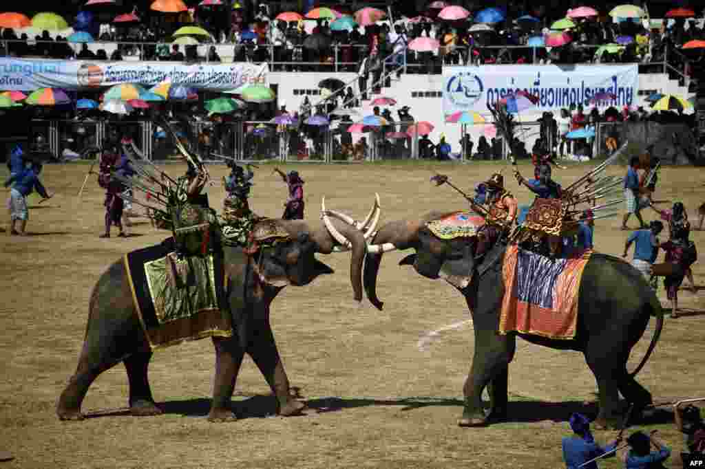 សត្វ​ដំរី​សម្តែង​នៅ​ក្នុង​ឈុត​ឆាក​សមរភូមិ​មួយ​នៅ​ក្នុង​កម្មវិធី Surin Elephant Round-up ប្រចាំ​ឆ្នាំ​នៅ ក្នុង​ខេត្ត​សូរិន​ ប្រទេស​ថៃ។