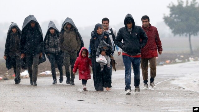 Un grupo de migrantes caminan cerca de la frontera entre Serbia y Croacia en medio del frío.