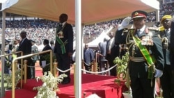 Report on Robert Mugabe For Life Filed By Loirdham Moyo