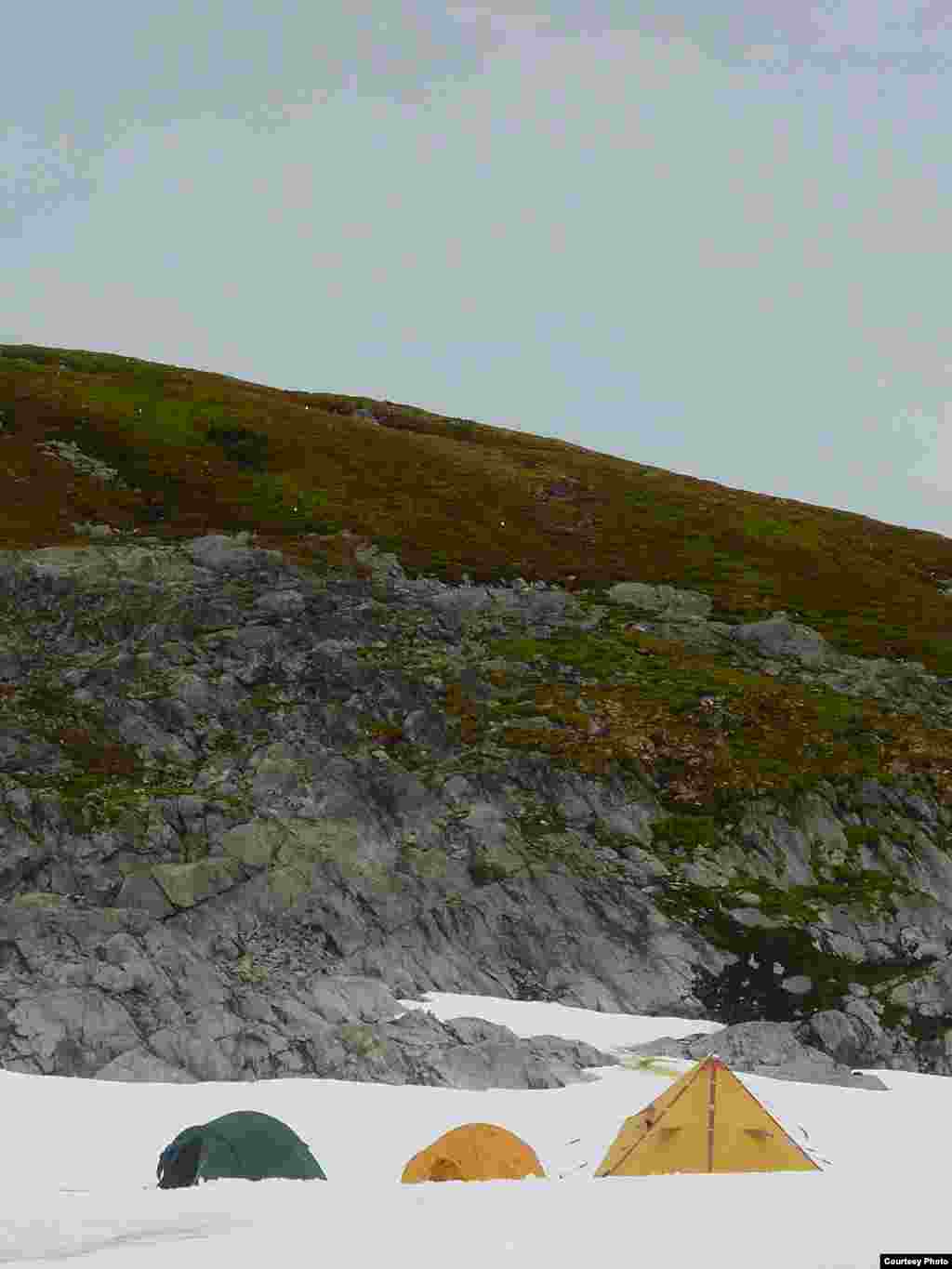 Researchers on Green Island, Berthelot Islands, camped below the moss have blue-eyed cormorants and the calving icebergs just offshore as their only companions. (Dan Charman/Matt Amesbury)