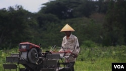 Petani memanfaatkan traktor tangan untuk mengolah lahan di Sleman, Yogyakarta. (VOA/Nurhadi Sucahyo)