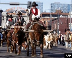 Texas xalqi qishloq xo'jaligi va ayniqsa zotdor qoramoli bilan faxrlanadi.